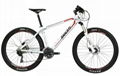 E-Mountain Bikes MNL5 29er