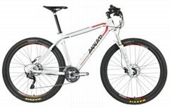  E-Mountain Bikes MNL6 29er