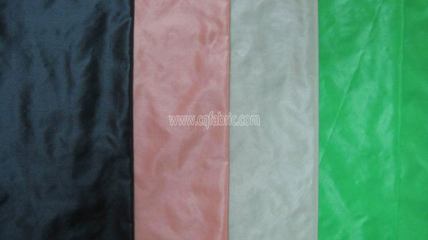 15D Nylon taffeta ripstop fabric DJF-004