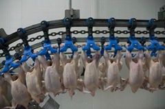 QUALITY HALAL WHOLE FROZEN CHICKEN AND CHICKEN PARTS FROM USA, COMPETATIVE PR
