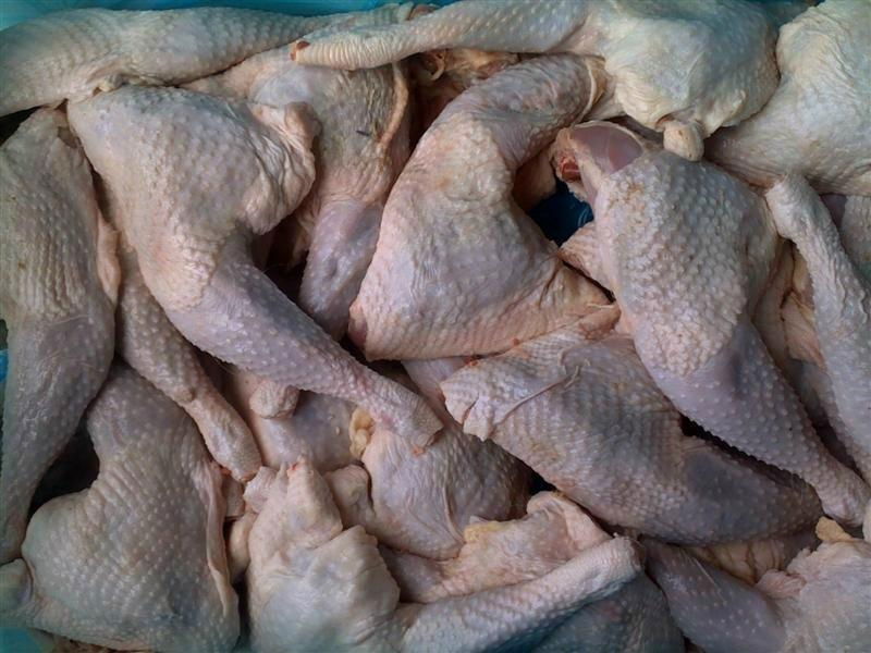 HALAL PROCESSED GRADE A FROZEN CHICKEN LEG QUARTER 2