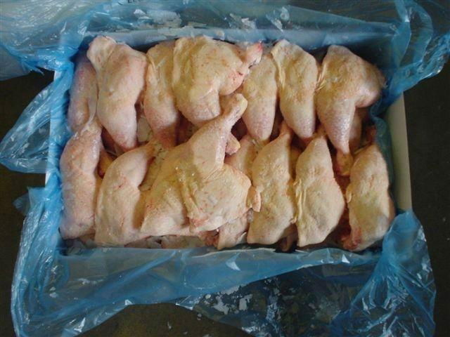 HALAL PROCESSED GRADE A FROZEN CHICKEN LEG QUARTER 4