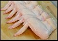HALAL PROCESSED FROZEN WHOLE CHICKEN WINGS 5