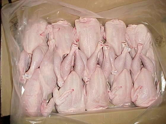  Halal Frozen Whole Chicken 'A' Grade.    2