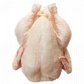  Halal Frozen Whole Chicken 'A' Grade.    5