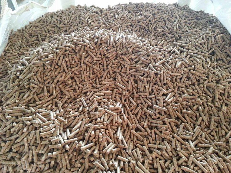 Pine Wood Pellets VG1950 Menji (United Arab Emirates Manufacturer