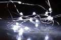 Wholesale 100% pure copper rubber wire IP65 10meters 100bulbs led string light