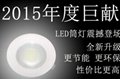 LED高档筒灯 3