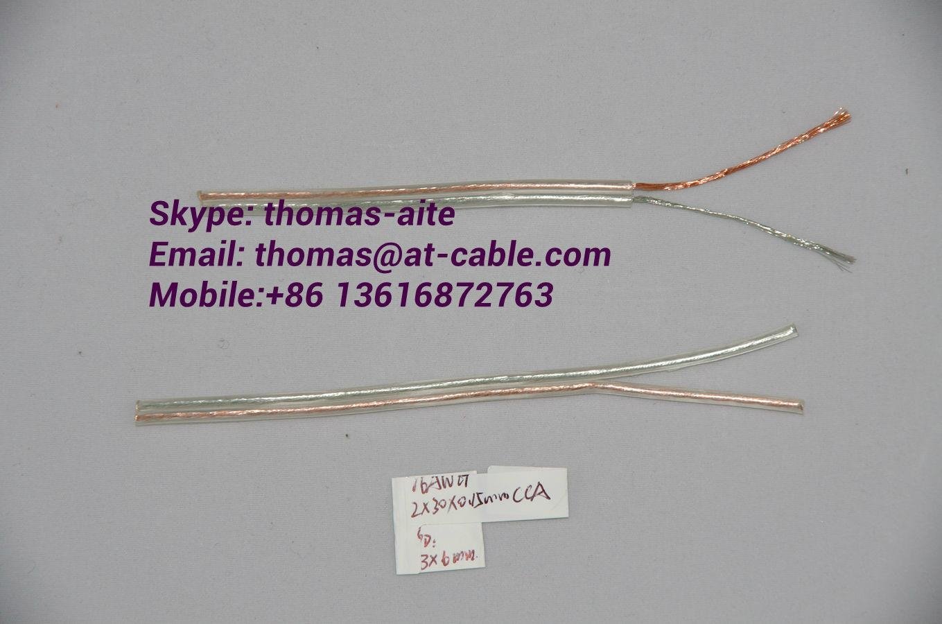 silver and gold speaker cable TCCA