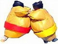 Sumo Wrestling suits