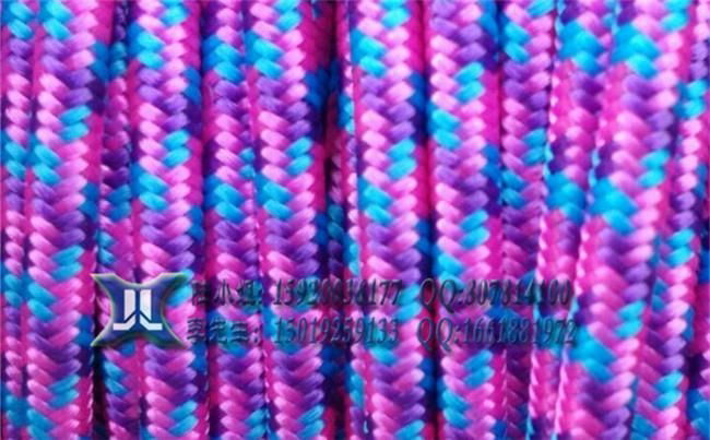 PET Braided sleeving 4