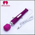 Magic Wand Vibrator with plugs 1