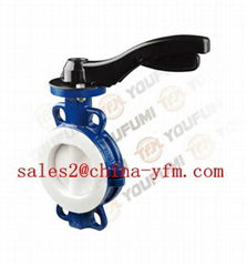 PTFE lined butterfly valve