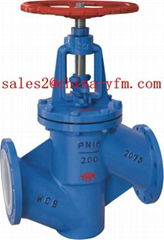 Lined Globe Valve