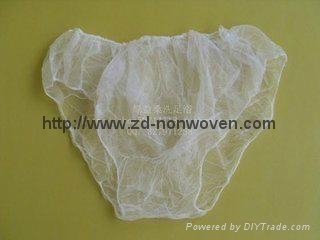 Disposable panty
