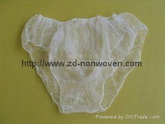 Disposable panty