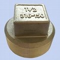 Stainless Steel A351 CF8/CF8M Square Plug