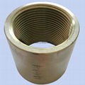 Stainless Steel 304/316 Socket Plain