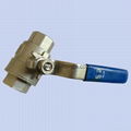 Stainless Steel 2 PC  Ball Valve 1