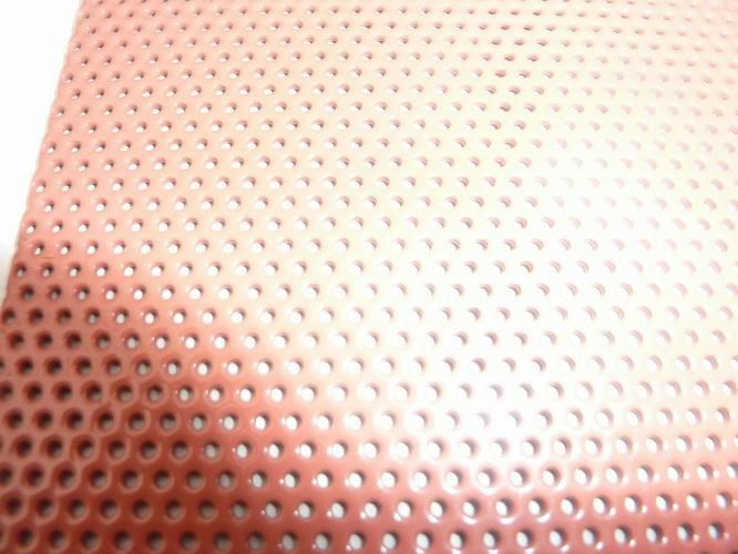 Perforated Metal Mesh 3