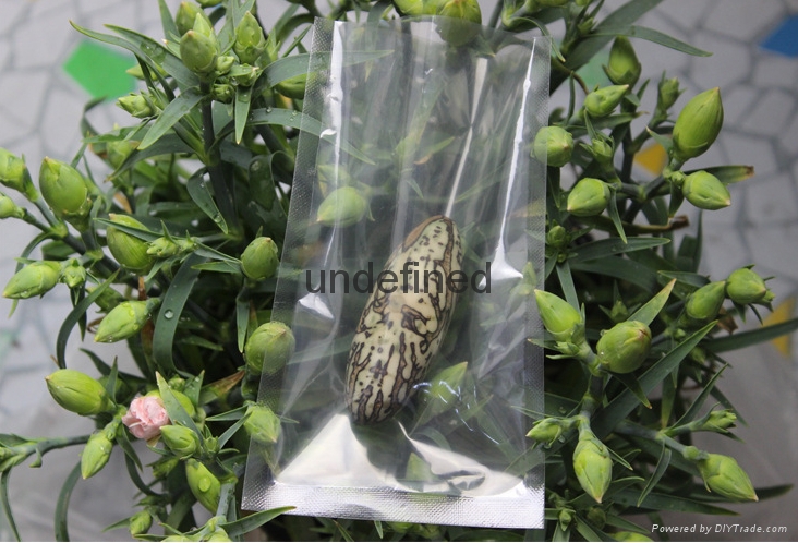 深圳广州肇庆透明真空袋 5