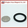 neodymium ring magnet 1