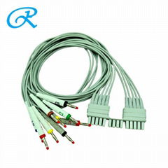 Mortara Compatible ECG Leadwire,10Lead