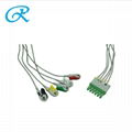 Siemens/Grager Disposable ECG cable with