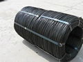 Black Annealed Wire 1