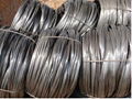 Galvanized Wire 1