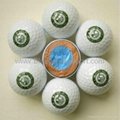 Golf 4-Layers Practice Balls
