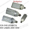 100W E40路灯 LED 2