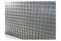 Hot dipped galvanized welded wire mesh rolls 1