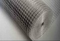 Hot dipped galvanized welded wire mesh rolls 3