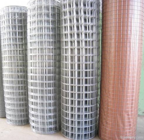 Hot dipped galvanized welded wire mesh rolls 4