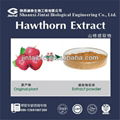 100% natural Hawthorn Fruit Extract