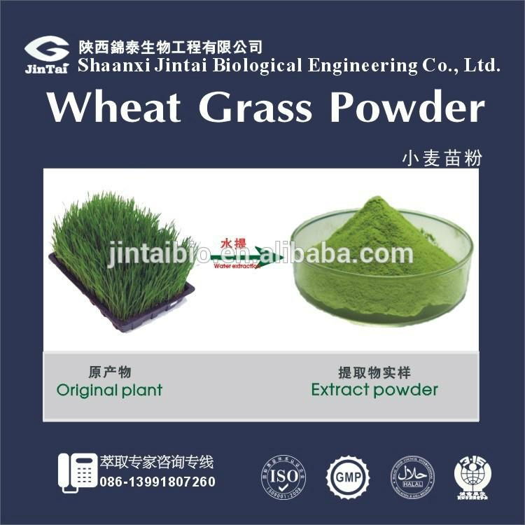 wheat grass extract 10:1 wheat grass juice powder