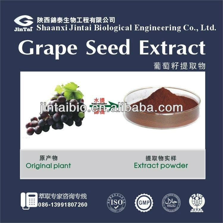 grape seed extract polyphenol 95%