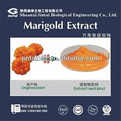 High Quality 5%10%20%80%90% Marigold extract lutein