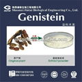 100% natural genistein extract 1