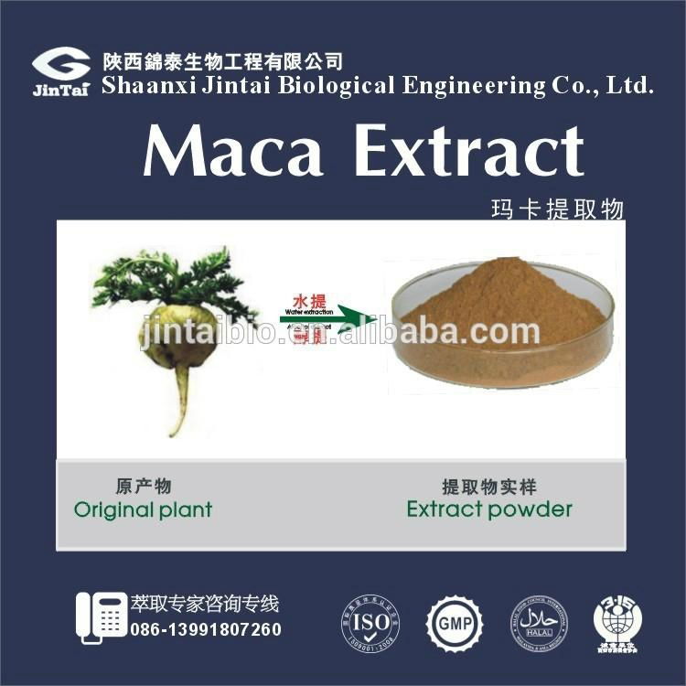 Sex product powder maca root extract