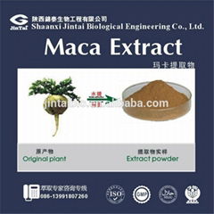 Sex product powder maca root extract