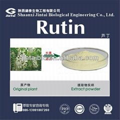 Sophora Japonica Extract Rutin 95% powder