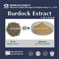 Great Burdock Root Extract 1