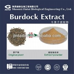 Great Burdock Root Extract
