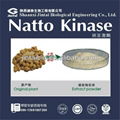 100% natural nattokinase 20000fu/g