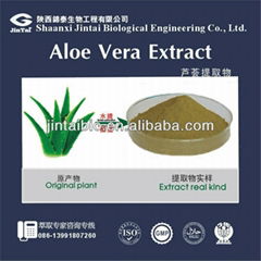 Aloe Vera Powder