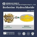 high quality bulk 97% berberine HCL 1