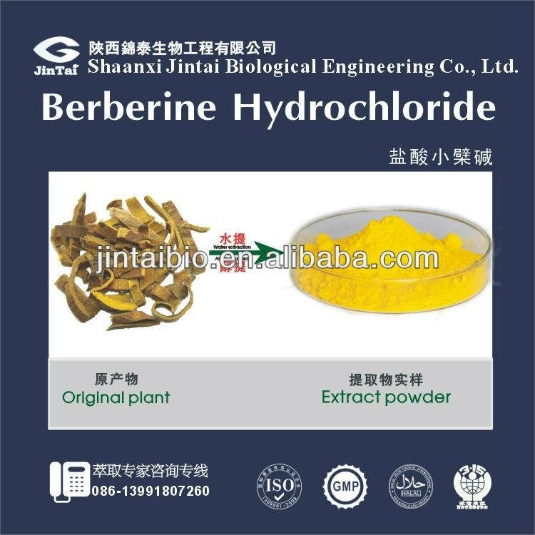 high quality bulk 97% berberine HCL 2