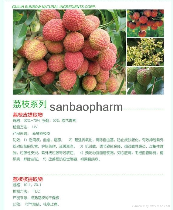 荔枝皮提取物 4